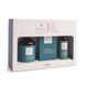 Emmebi Hair Loss Remedy programm Hair Loss Control Set (shampoo, lotion and 30 patches)