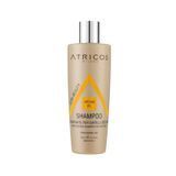 Увлажняющий шампунь Atricos Milano с аргановым маслом