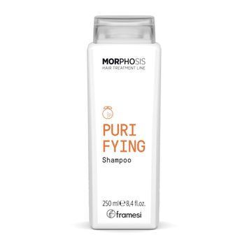 Framesi Morphosis Purifying Shampoo against dandruff