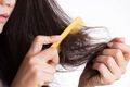 Почему повреждаются волосы: виды повреждений и способы регенерации фото